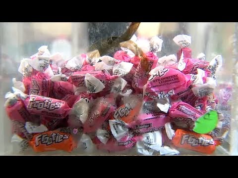 Bittersweet goodbye as Manhattan candy store closes its doors