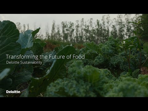 Transforming the Future of Food