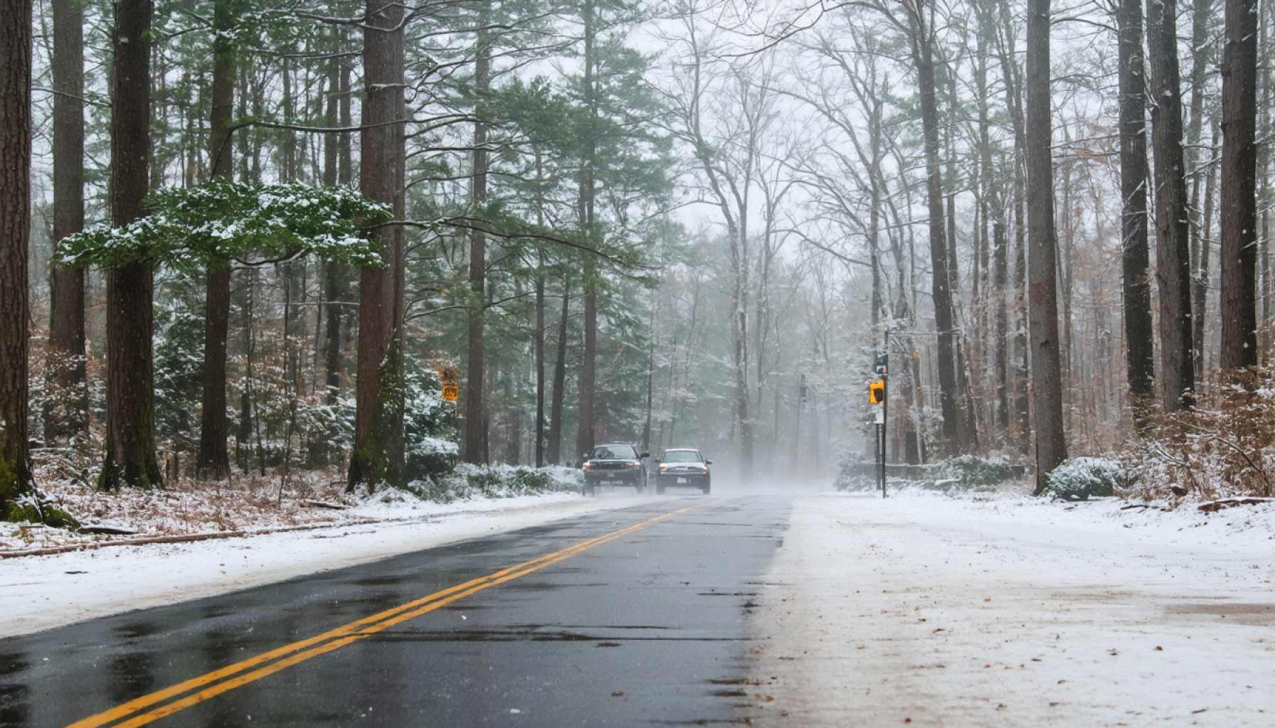 Winter's Icy Embrace: Carolinas Brace for a Surprising Snowburst 